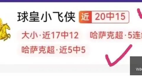 世界杯，2023世界杯， 022436